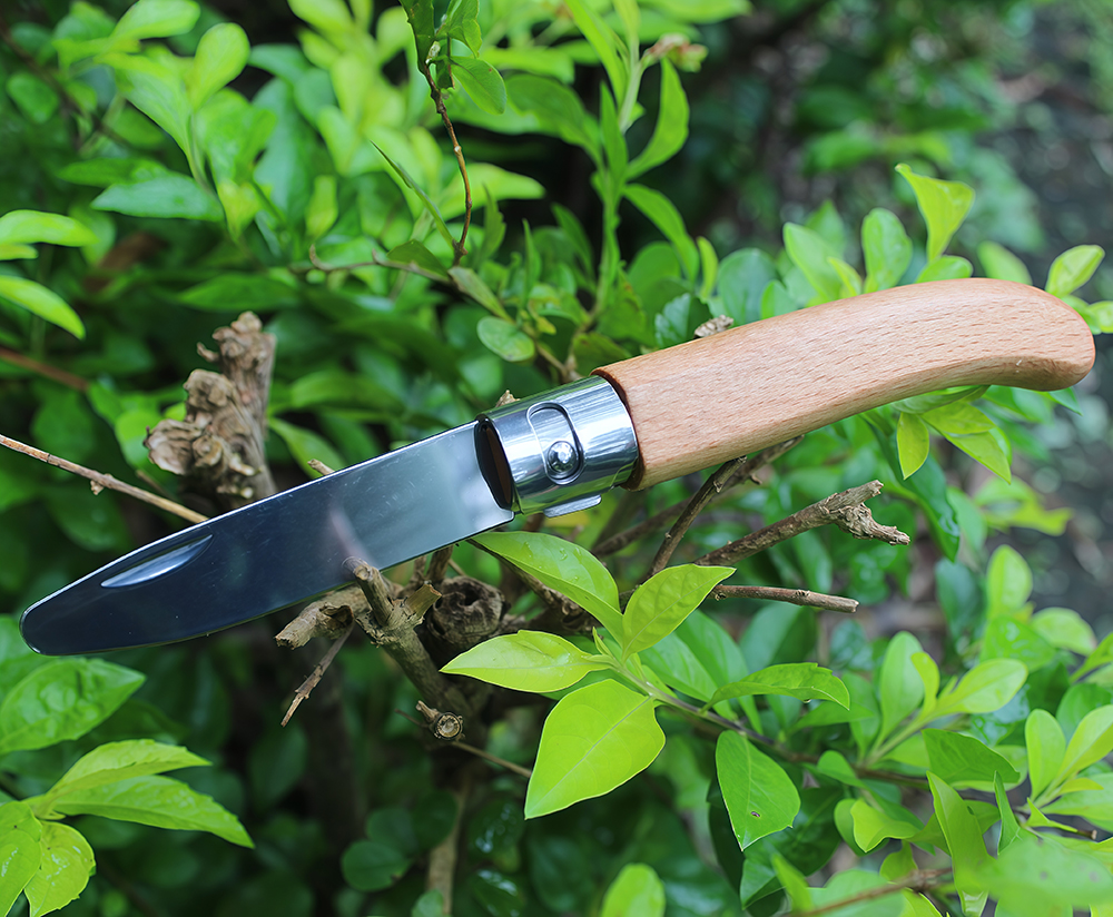 Kids Carving Knife