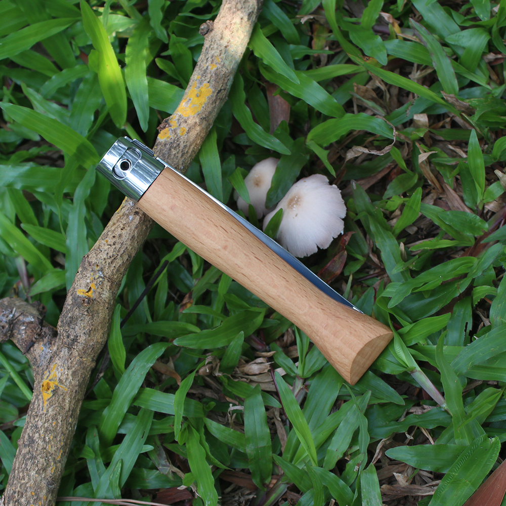 traditional folding knife close viewed