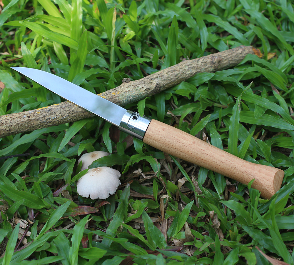 traditional folding knife compact pocket size