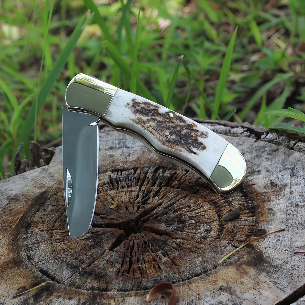 stag handle pocket knife with mirror blade