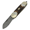 Antler Handle Pocket Knife