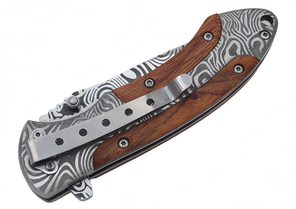Best Spring Assisted Knives