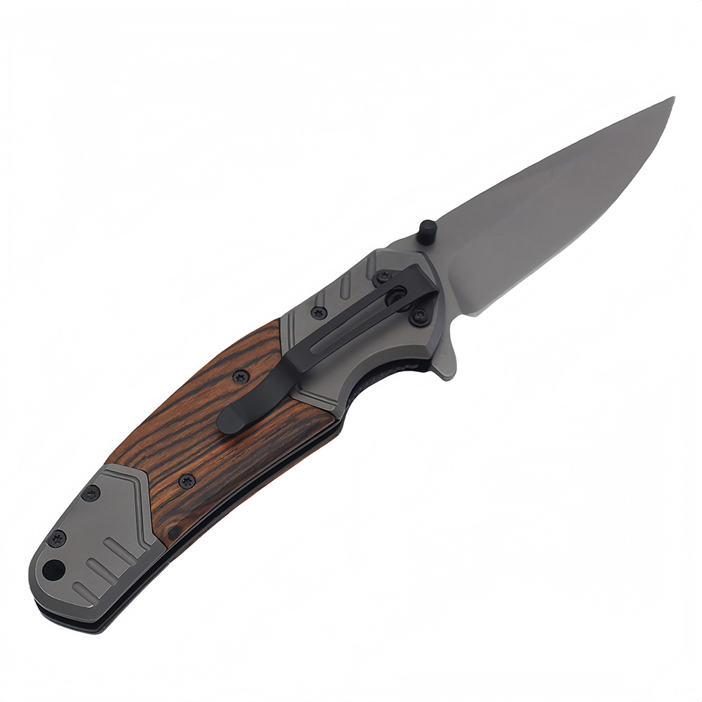 Spring Assisted Pocket Knife