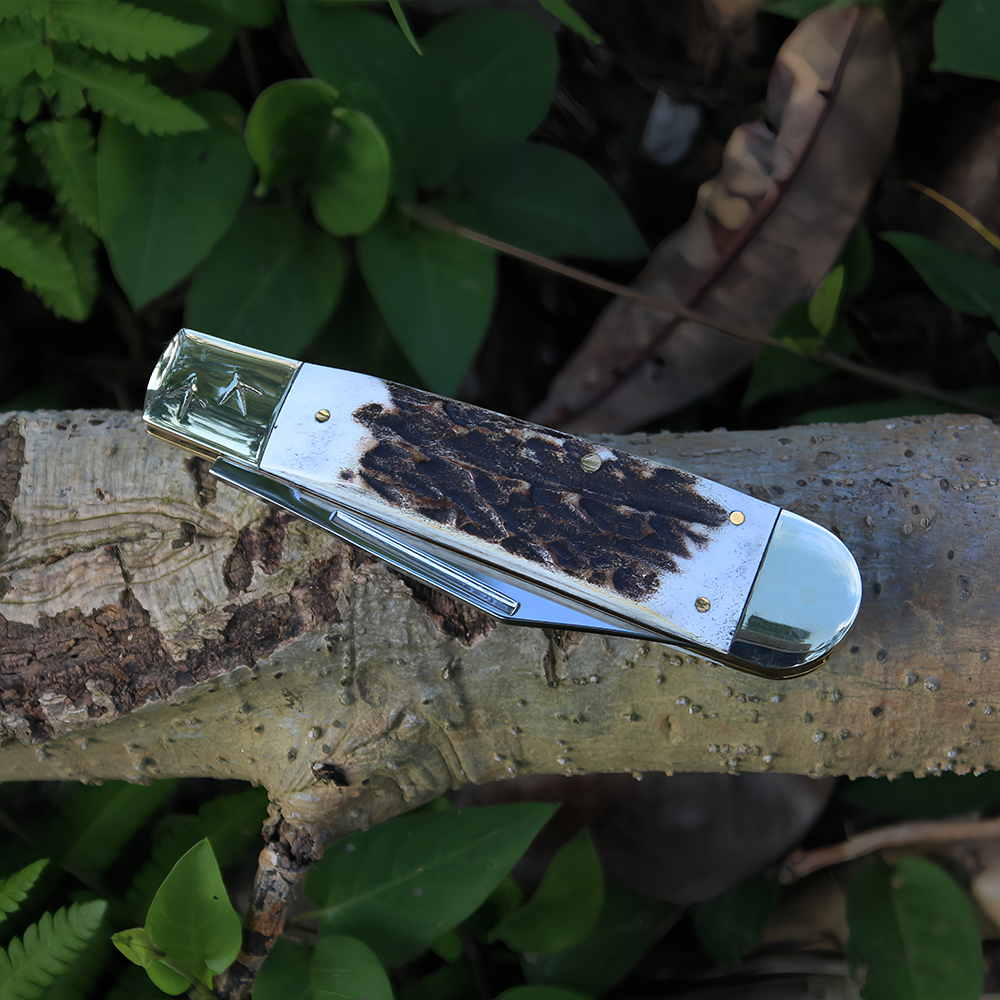 compact stag handle lightweight pocket knife gift for dad