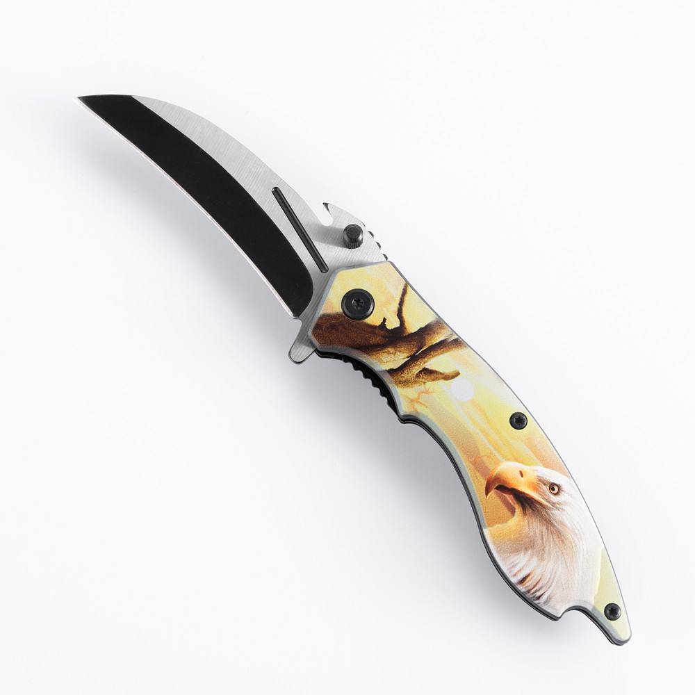 Folding Knife