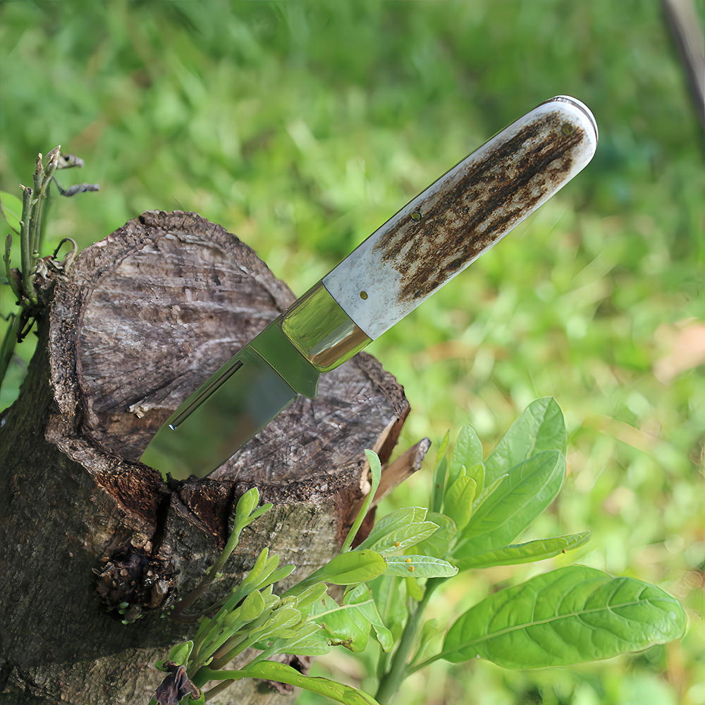 antler handle pocket small knife