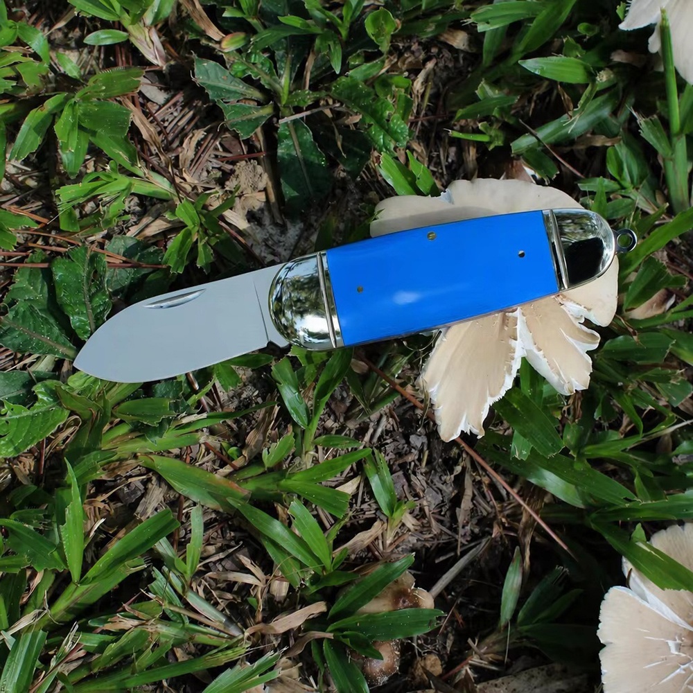 compact edc knife for outdoor picking mushroom