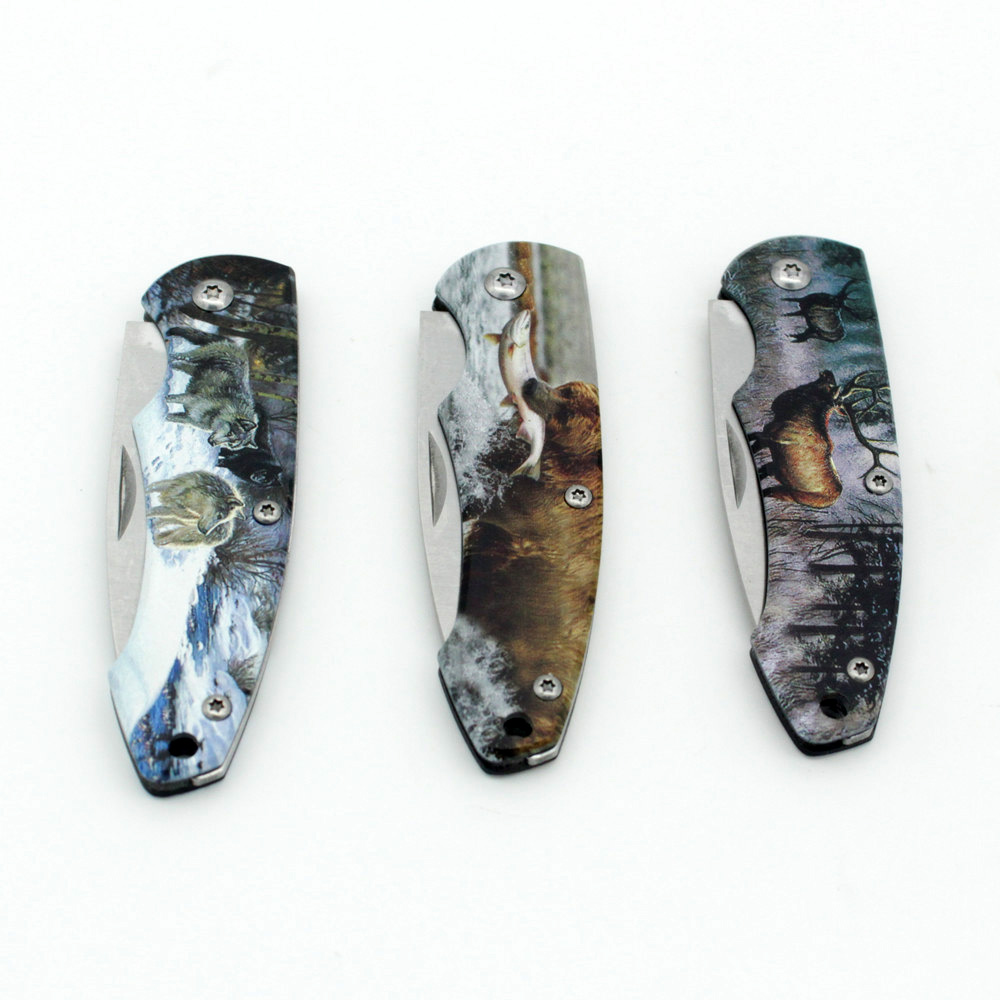 Folding Knife