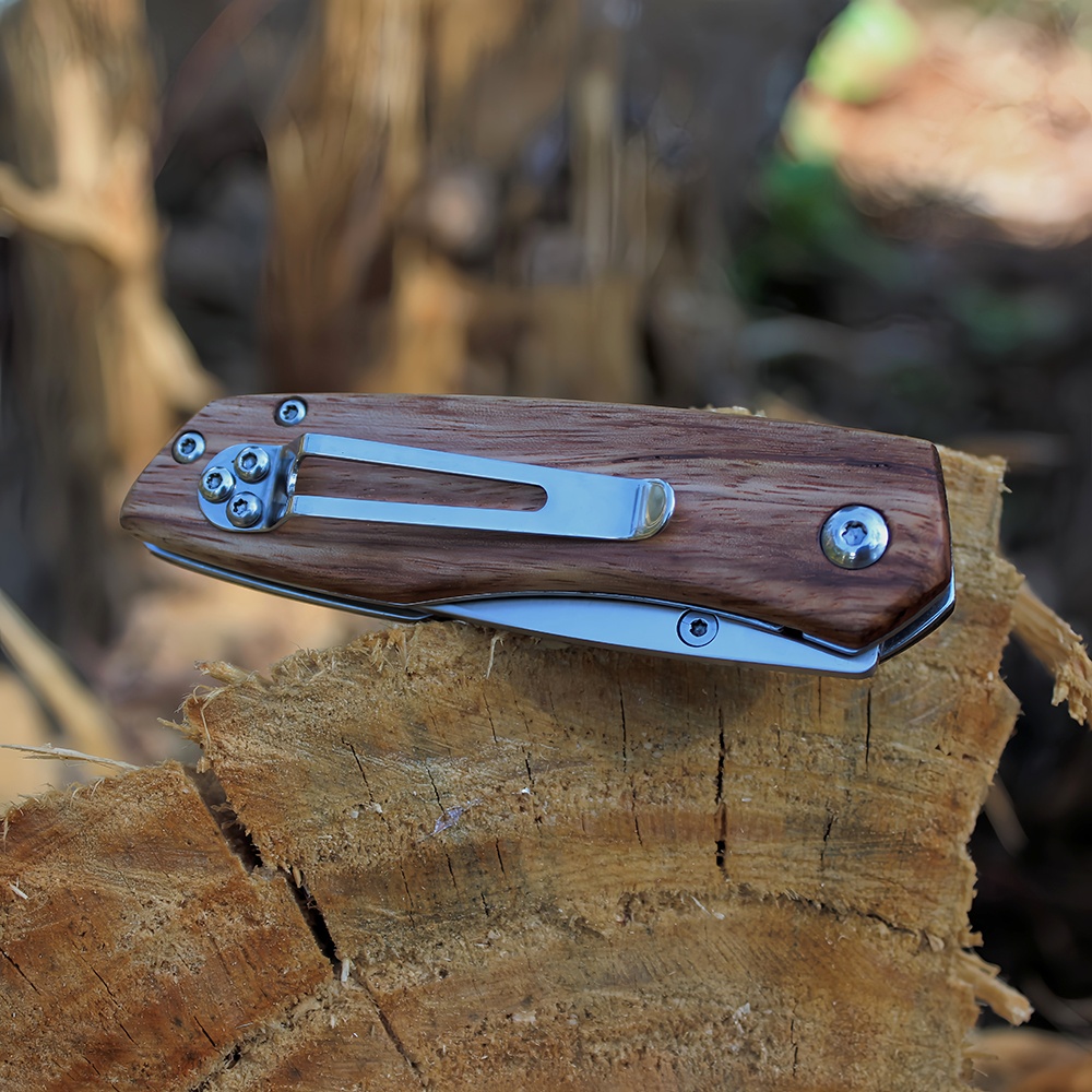 Folding Pocket Knife