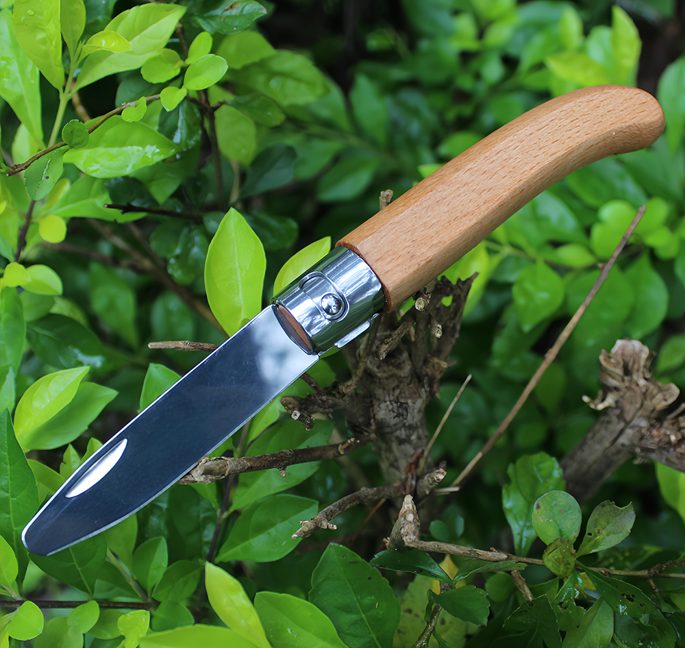 Carving Knife