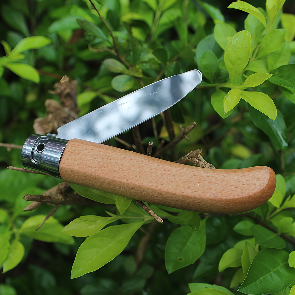 Carving Knife