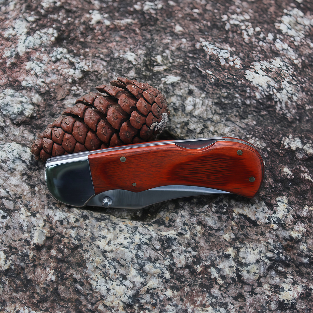 Folding Pocket Knife