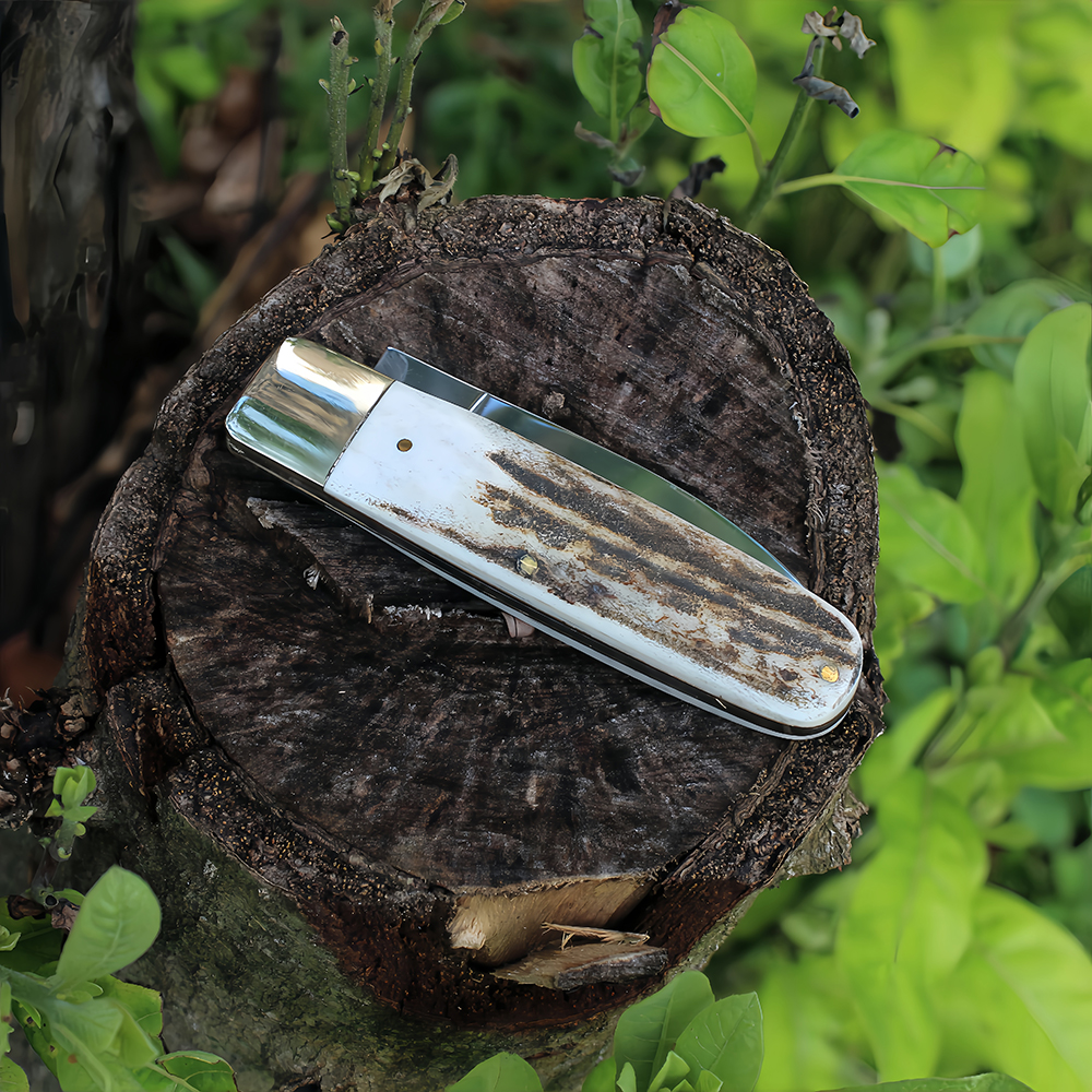 compact size best edc folding knife