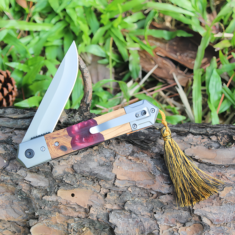 Folding Pocket Knife