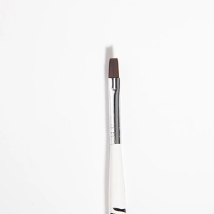 Nail Art Brush Set