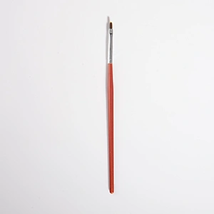 Nail Art Brush Set