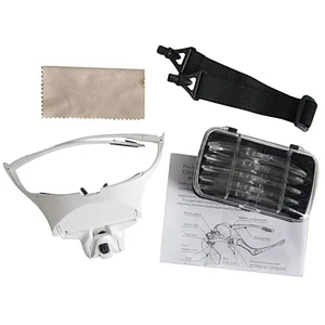 Head-mounted Magnifier