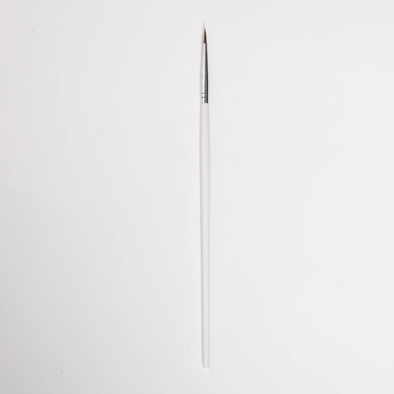Nail Art Brush Set
