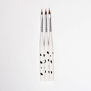 Nail Art Brush Set