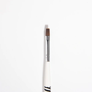 Nail Art Brush Set