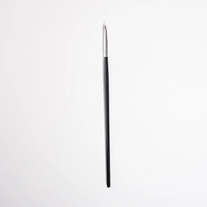 Nail Art Brush Set