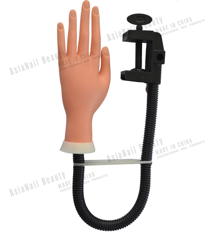 Practice Hand With Holder