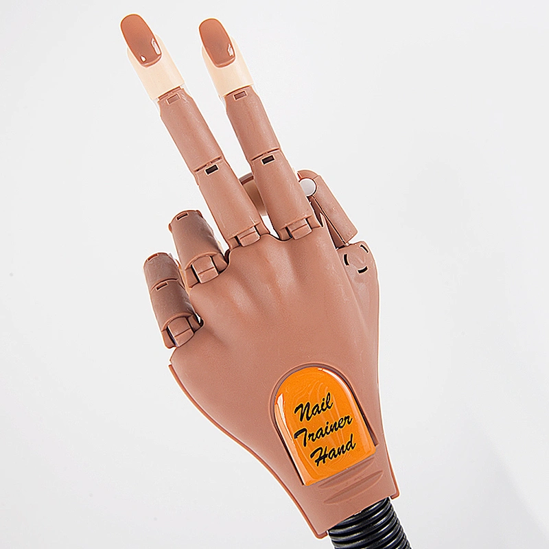 Practice Hand With Holder