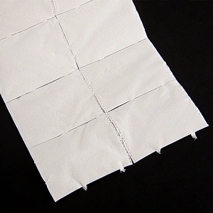Cleaning Pad