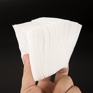 Cleaning Pad
