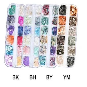 12 Grid Glitter Abalone Shell Flakes For Nail Art Decoration