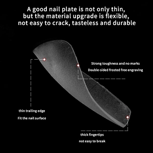 Short Frosted Nail Tips