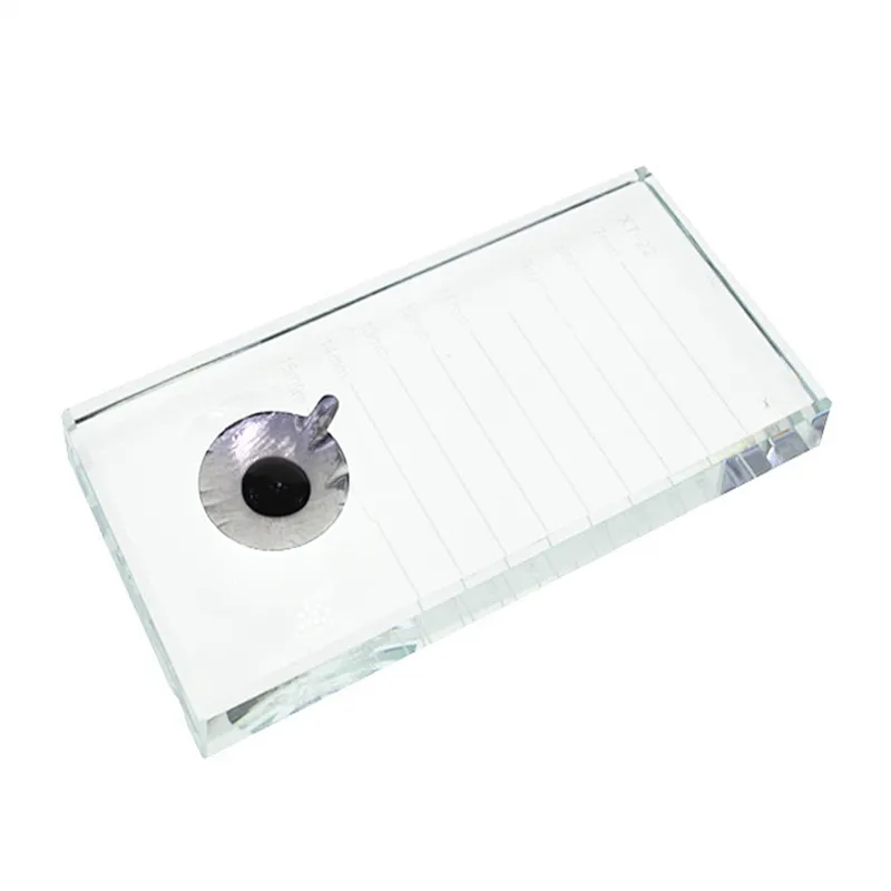 Eyelash Extensions Foil Sticker