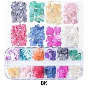 12 Grid Glitter Abalone Shell Flakes For Nail Art Decoration