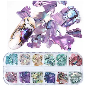 12 Grid Glitter Abalone Shell Flakes For Nail Art Decoration