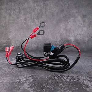 DAMAVO extension cord with the fuse jumper wire Automotive cable harness