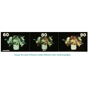 Que sont la température de couleur, l'effet de lumière et l'indice de rendu des couleurs ?