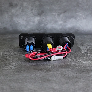 DAMAVO 12V USB PD C 12ボルト ソケット充電ポート スイッチパネル付き