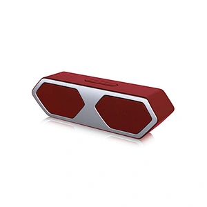 TWS wireless portable speaker Support USB/TF CARD/FM RADIO