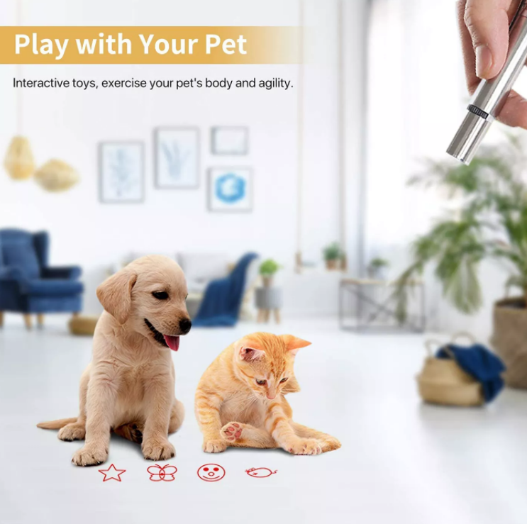 3 in 1 Rechargeable Mini Multi Function Aluminum LED Light Flashlight Pet Cat Catch Laser Pen Pointer Interactive Exercise Toy