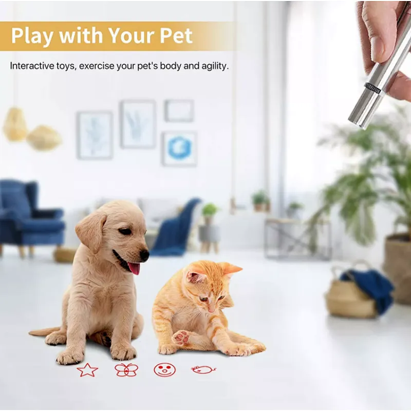 3 in 1 Rechargeable Mini Multi Function Aluminum LED Light Flashlight Pet Cat Catch Laser Pen Pointer Interactive Exercise Toy