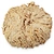 pva mop