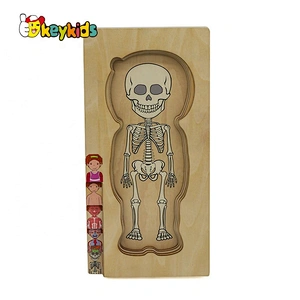 2020 Customize educational wooden body systems puzzle for children W12E058