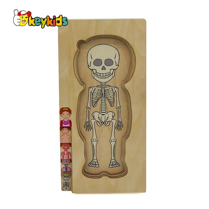 2020 Customize educational wooden body systems puzzle for children W12E058