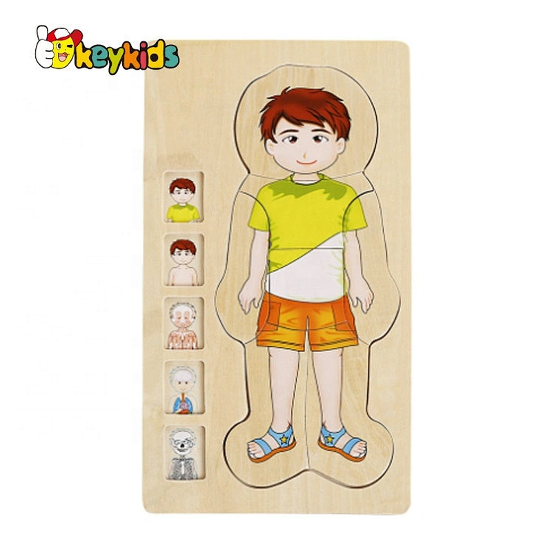 Educational Wooden Puzzles For Toddlers Human Anatomy Puzzle W12E055
