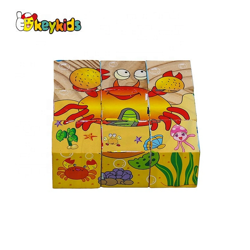 Cusomize 4 sides educational wooden block puzzle cube for kids W14F070