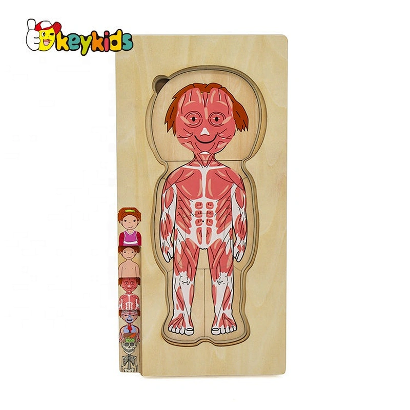 2020 Customize educational wooden body systems puzzle for children W12E058