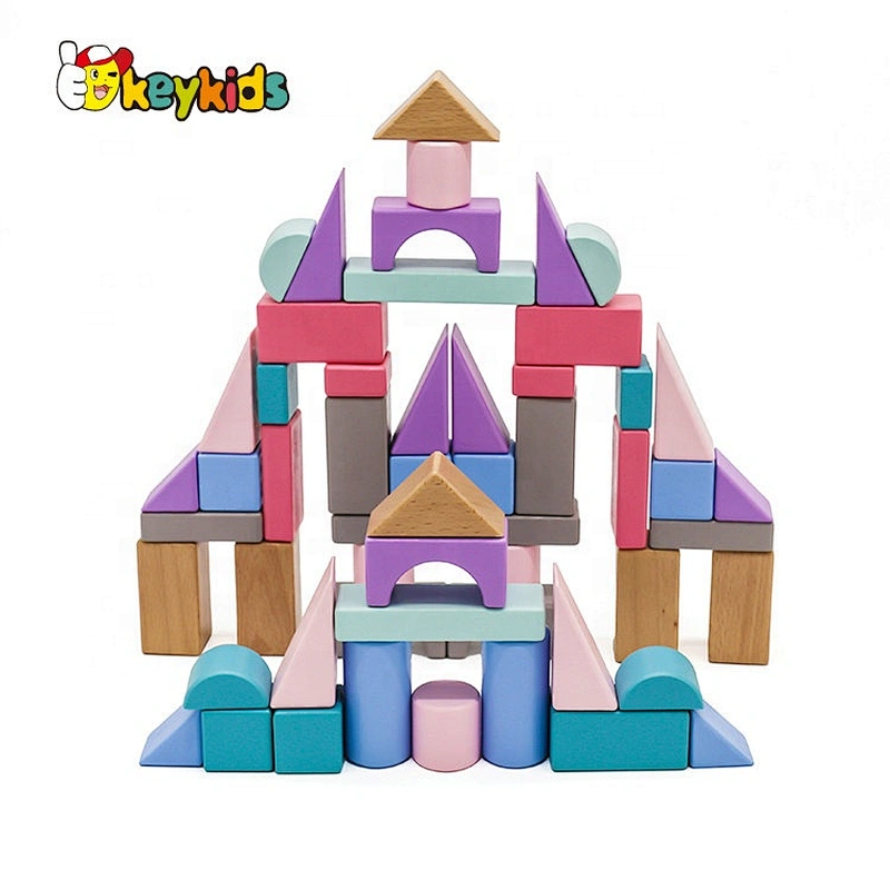 2019 Top sale 55 pieces educational wooden building sets for kids W13A175