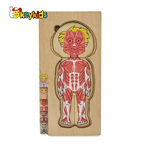 2020 Customize educational wooden human anatomy jigsaw puzzle for kids W12E057