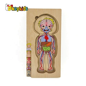 2020 Customize educational wooden human anatomy jigsaw puzzle for kids W12E057