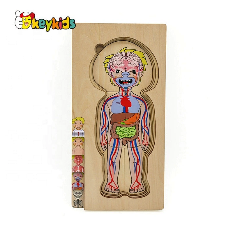 2020 Customize educational wooden human anatomy jigsaw puzzle for kids W12E057